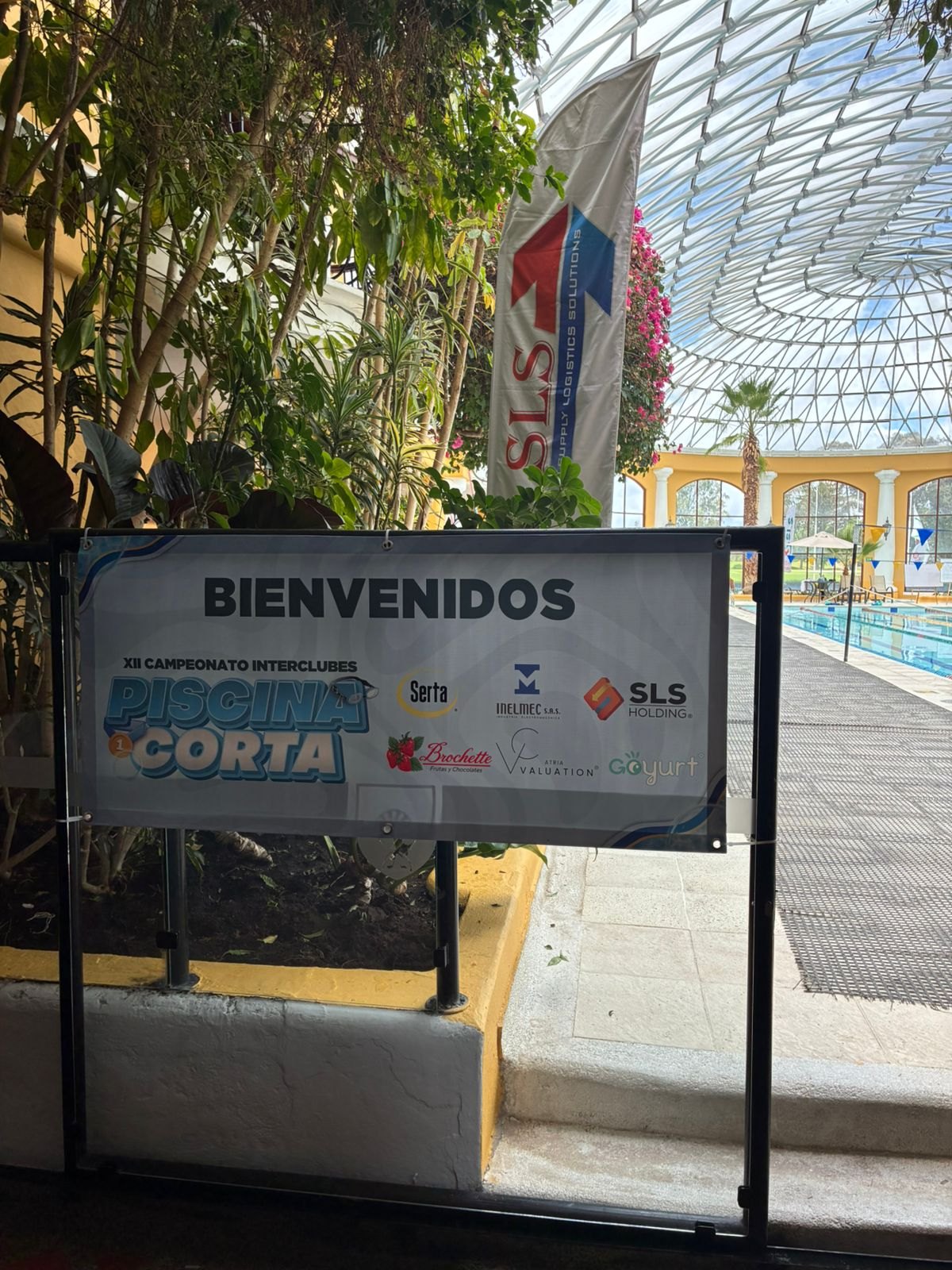 Piscina del XII Campeonato Interclubes de Piscina Corta